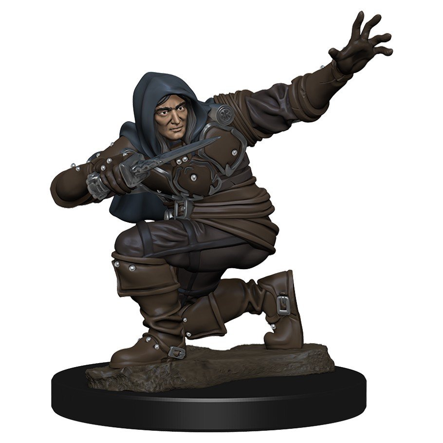 Pathfinder Miniatures - Human Rogue Male