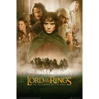 Plagát Lord of the Rings Poster Fellowship Of The Ring 61 x 91 cm