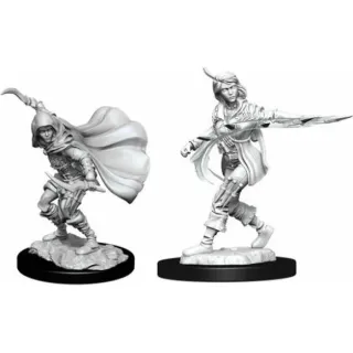 Pathfinder Miniatures: Human Rogue Female 2-Pack, 4 cm