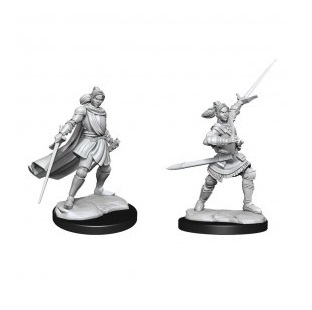 Critical Role Miniatures - Half-Elf Paladin Xhorhas Female 2-Pack, 4 cm