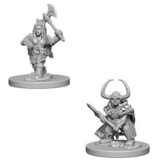 Dungeons & Dragons Nolzur's Marvelous Miniatures - Dwarf Female Barbarian 2-pack, 4 cm