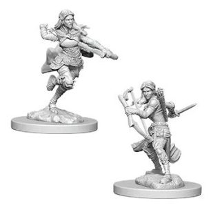 Dungeons & Dragons Nolzur's Marvelous Miniatures - Air Genasi Female Rogue 2-pack, 4 cm