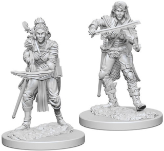 Pathfinder Miniatures: Elf Female Bard 2-pack, 4 cm