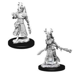 Dungeons & Dragons Nolzur's Marvelous Miniatures - Female Human Druid 2-pack, 4 cm