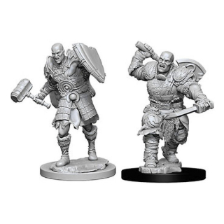 Dungeons & Dragons Nolzur's Marvelous Miniatures - Male Goliath Fighter 2-pack, 4 cm