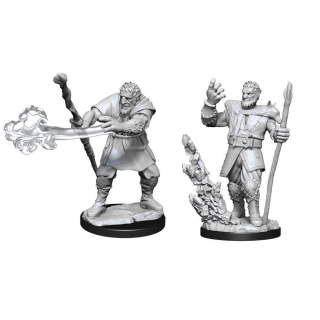 Dungeons & Dragons Nolzur's Marvelous Miniatures - Male Firbolg Druid