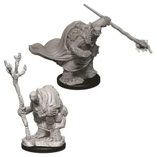 Dungeons & Dragons Nolzur's Marvelous Miniatures - Tortle Adventurers 2-pack, 4 cm