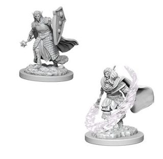 Dungeons & Dragons Nolzur's Marvelous Miniatures - Elf Male Cleric