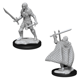 Pathfinder Miniatures: Male Elf Fighter 2-pack, 4 cm