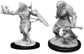 Dungeons & Dragons Nolzur's Marvelous Miniatures - Male Dragonborn Paladin 2-pack, 4 cm