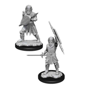 Dungeons & Dragons Nolzur's Marvelous Miniatures - Human Fighter Male 2-pack, 4 cm