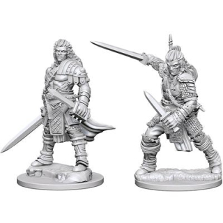 Pathfinder Miniatures: Human Male Fighter 2-pack, 4 cm