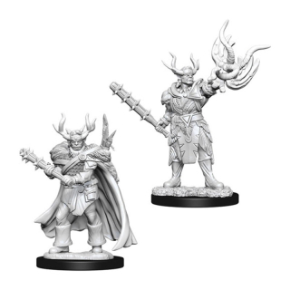 Pathfinder Miniatures: Male Half-Orc Druid 2-pack, 4 cm