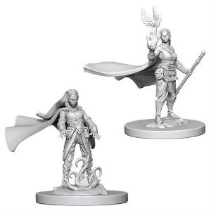 Dungeons & Dragons Nolzur's Marvelous Miniatures - Elf Female Druid 2-pack, 4 cm