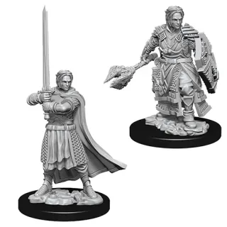 Dungeons & Dragons Nolzur's Marvelous Miniatures - Male Human Cleric