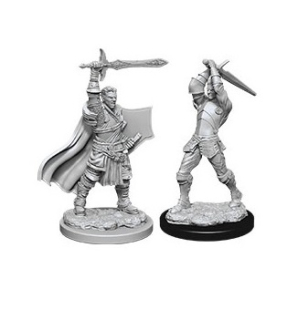 Dungeons & Dragons Nolzur's Marvelous Miniatures -  Male Human Paladin 2-pack, 4 cm