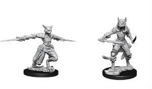 Dungeons & Dragons Nolzur's Marvelous Miniatures - Female Tabaxi Rogue 2-pack, 4 cm