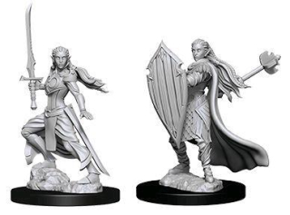 Dungeons & Dragons Nolzur's Marvelous Miniatures - Female Elf Paladin 2-pack, 4 cm