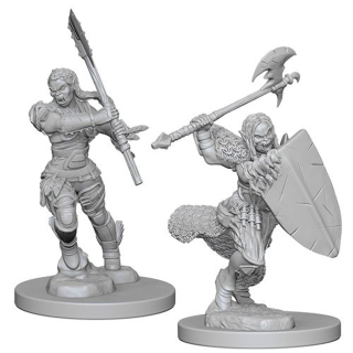 Pathfinder Miniatures: Half-Orc Female Barbarian 2-pack, 4 cm