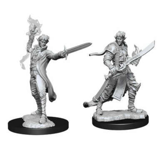 Pathfinder Miniatures: Male Elf Magus (Magic User) 2-pack, 4 cm