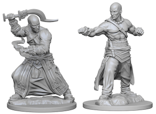 Pathfinder Miniatures: Human Male Monk 2-pack, 4 cm