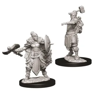 Dungeons & Dragons Nolzur's Marvelous Miniatures - Female Half-Orc Barbarian 2-pack, 4 cm