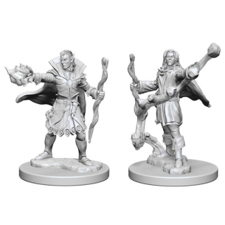 Pathfinder Miniatures: Elf Male Sorcerer 2-pack, 4 cm