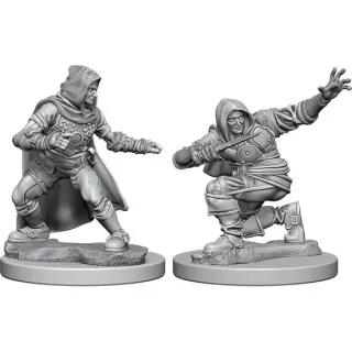 Pathfinder Miniatures: Human Male Rogue 2-pack, 4 cm