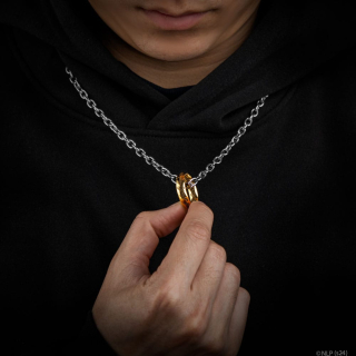 Prívesok - Lord of the Rings Necklace with Pendant The one Ring