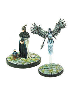 Dungeons & Dragons Collector's Series: Aerisi Kalinith & Air Priest