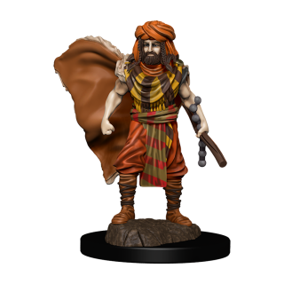 Dungeons & Dragons: Icons of the Realms - Human Male Druid Premium Figure, 4 cm