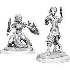 Dungeons & Dragons Nolzur's Marvelous Miniatures - Shifter Fighter Female 2-Pack, 3 cm