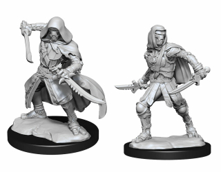 Dungeons & Dragons Nolzur's Marvelous Miniatures - Warforged Rogue 2-Pack, 4 cm